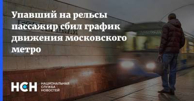 Упавший на рельсы пассажир сбил график движения московского метро - nsn.fm