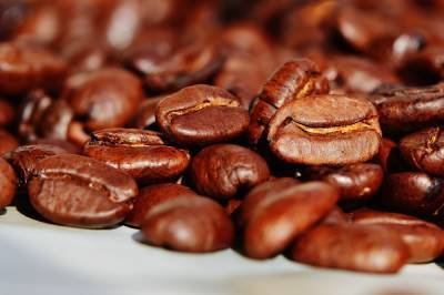 Глобальное потепление может привести к дефициту кофе в мире - grodnonews.by