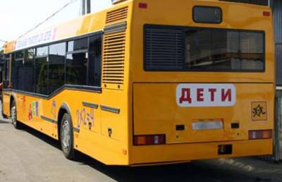 В Брестском районе ГАИ остановила школьный автобус — водитель был пьян - naviny.by - район Брестский - Брест