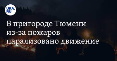 В пригороде Тюмени из-за пожаров парализовано движение - ura.news - Тюмень - Тюменская обл.