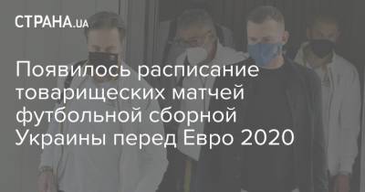 Андрей Шевченко - Появилось расписание товарищеских матчей футбольной сборной Украины перед Евро 2020 - strana.ua - Австрия - Кипр - Днепр - Голландия - Харьков - Ирландия - Бахрейн