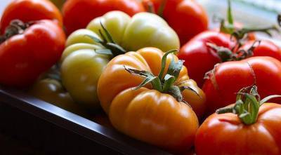 Монофосфат калия: как удобрять помидоры, овощи, цветы и не только - skuke.net