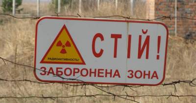 Ученые оценят влияние радиации на ос в Чернобыле - ren.tv - территория Чаэс