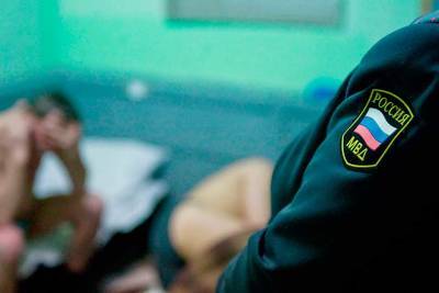 МВД планирует помещать нетрезвых россиян в вытрезвители без привлечения дополнительных средств - apral.ru