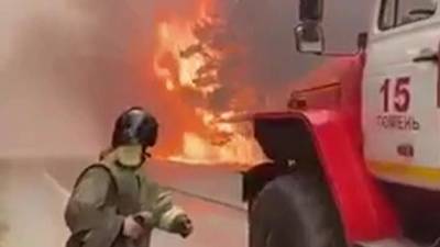 В Тюменской области военные локализовали пожары на 80 гектарах - 1tv.ru - Тюменская обл.