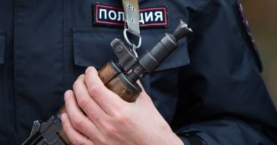 Калининградская полиция разыскивает 10-летнюю девочку - klops.ru - Калининград - р-н. Московский