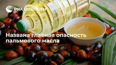 Малайзия - Названа главная опасность пальмового масла - smartmoney.one - Индонезия