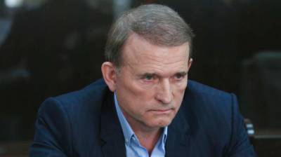 Владимир Путин - Петр Порошенко - Виктор Медведчук - Ринат Ахметов - В сеть слили переговоры Медведчука с Порошенко, Путиным и Ахметовым - расследование Bihus - lenta.ua - ДНР