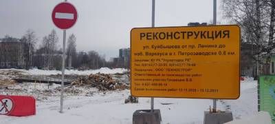 В Петрозаводске пересадят голубые ели, попавшие под вырубку из-за строительства новой дороги - stolicaonego.ru - Петрозаводск - республика Карелия