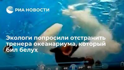 Экологи попросили отстранить тренера океанариума, который бил белух - ria.ru - Владивосток - Сахалин
