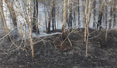 Из-за грозы в Тюменской области произошло 5 природных пожаров - nashgorod.ru - Тюменская обл.