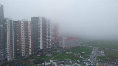 Густой туман покрыл улицы Петербурга после ночного ливня - piter.tv - Санкт-Петербург - район Красносельский