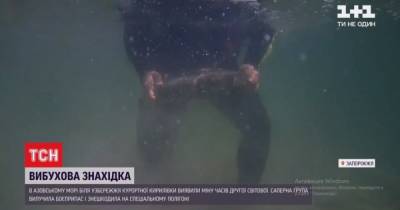 Опасная находка в курортной Кирилловке: из воды достали боеприпас - tsn.ua - Запорожье