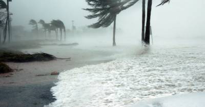 Раджнатх Сингх - Скорость ветра — до 175 км/ч: на Индию обрушился мощный циклон - dsnews.ua - Индия - Мумбаи