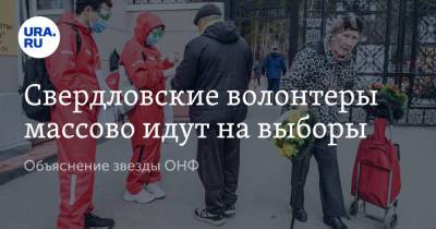 Свердловские волонтеры массово идут на выборы. Объяснение звезды ОНФ - ura.news
