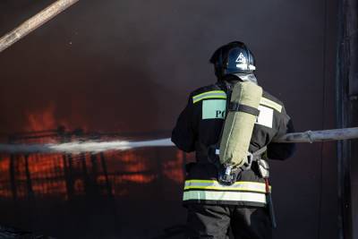 Из-за лесного пожара в Винзилях эвакуированы 1300 человек - znak.com - Тюменская обл. - Винзить