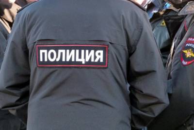 Полиция задержала подростков, угрожавших ножом третьеклассникам - abnews.ru - район Петродворцовый