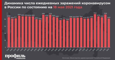 За сутки в России выявили 8183 новых случая COVID-19 - profile.ru - Москва - Россия - Санкт-Петербург - Московская обл.