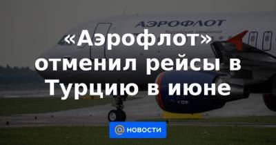 Михаил Демин - «Аэрофлот» отменил рейсы в Турцию в июне - smartmoney.one - Турция