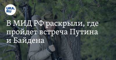Владимир Путин - Сергей Рябков - Джо Байден - В МИД РФ раскрыли, где пройдет встреча Путина и Байдена - ura.news