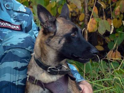 В Казани школу эвакуировали из-за ложного сообщения от «сообщника Галявиева» - rosbalt.ru - Казань
