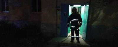 В Коломне при пожаре погибли два человека - runews24.ru - Московская обл.