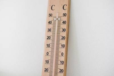 Гидрометцентр Роман-Вильфанд - В Москве побит температурный рекорд для 18 мая, установленный в конце XIX века - argumenti.ru - Москва