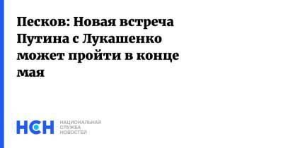 Владимир Путин - Дмитрий Песков - Александр Лукашенко - Песков: Новая встреча Путина с Лукашенко может пройти в конце мая - nsn.fm - Москва - Сочи