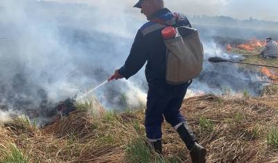 Последствия пожара в Тюменском районе — 25 дачных домов сгорело в СНТ «Солнышко» - nashgorod.ru