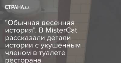 "Обычная весенняя история". В MisterCat рассказали детали истории с укушенным членом в туалете ресторана - strana.ua - Киев