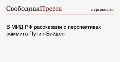 Владимир Путин - Сергей Рябков - Джо Байден - В МИД РФ рассказали о перспективах саммита Путин-Байден - svpressa.ru