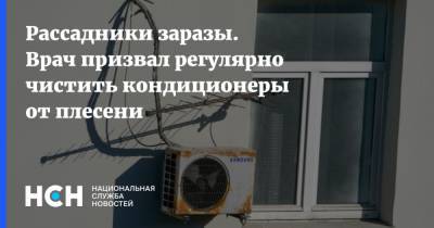 Владимир Болибок - Рассадники заразы. Врач призвал регулярно чистить кондиционеры от плесени - nsn.fm