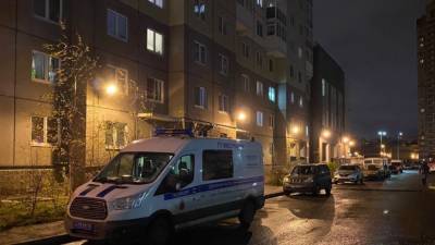 Пропавший в Нижнем Новгороде мальчик ушел гулять с бродягой и его собакой - polit.info - Нижний Новгород - Нижний Новгород