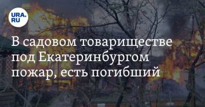 В садовом товариществе под Екатеринбургом пожар, есть погибший. Видео - ura.news - Екатеринбург - Свердловская обл.
