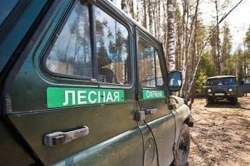 Для лесничеств Вологодчины купят 14 новых внедорожников - vologda-poisk.ru - Вологодская обл.