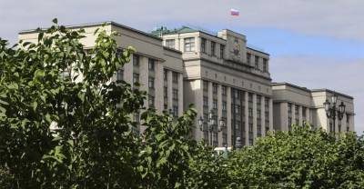 Дума приняла закон о выдаче виз иностранным туристам на полгода - reendex.ru