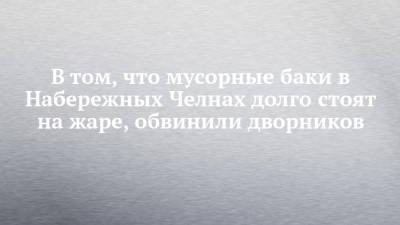 В том, что мусорные баки в Набережных Челнах долго стоят на жаре, обвинили дворников - chelny-izvest.ru - Набережные Челны - Камаз
