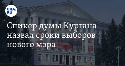 Андрей Потапов - Спикер думы Кургана назвал сроки выборов нового мэра - ura.news - Курган
