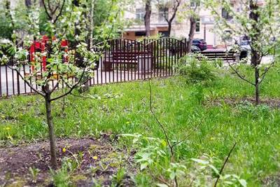 Акция «Лес Победы»: в Подмосковье высаживают деревья в память о героях Великой Отечественной войны - versia.ru - Московская обл.
