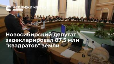 Новосибирский депутат задекларировал 87,5 млн "квадратов" земли - realty.ria.ru - Новосибирск