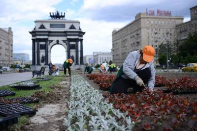 Роскошь майского цветения: в Москве высадят более 54 миллионов декоративных растений - vm.ru - Москва