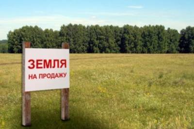 Рада приняла закон о продаже земли по новым правилам - rupor.info