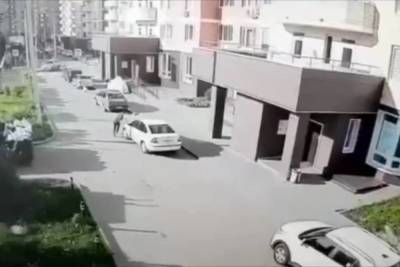 Житель Домодедово попал под собственный автомобиль - mk.ru - Московская обл. - Домодедово