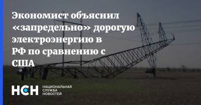 Владислав Жуковский - Экономист объяснил «запредельно» дорогую электроэнергию в РФ по сравнению с США - nsn.fm - Россия - США - Европа