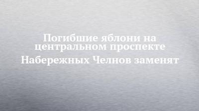 Погибшие яблони на центральном проспекте Набережных Челнов заменят - chelny-izvest.ru - Набережные Челны