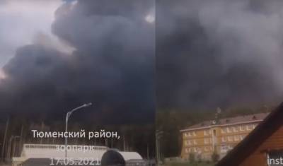 Около Тюмени чуть не сгорел зоопарк, но в последний момент сменился ветер - nashgorod.ru - Тюмень