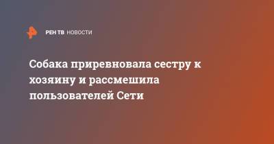 Собака приревновала сестру к хозяину и рассмешила пользователей Сети - ren.tv