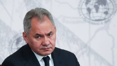 Ксения Шойгу - Компания дочери Шойгу заработала больше полумиллиарда рублей за год - svoboda.org
