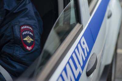 Газовую плиту, новогоднюю елку и автозапчасти украли из гаража в городе в Тверской области - tver.mk.ru - Тверская обл. - район Бологовский