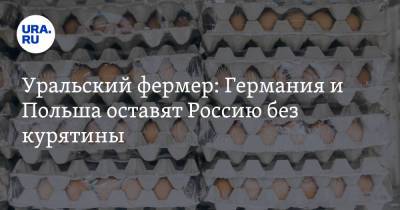 Уральский фермер: Германия и Польша оставят Россию без курятины - ura.news